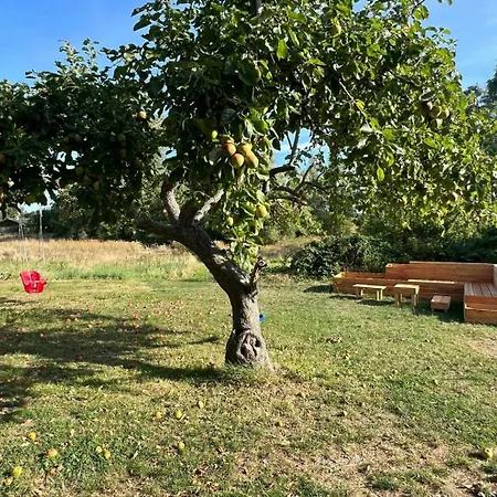 Unique Spacious In Nature-rich Samso Toftebjerg